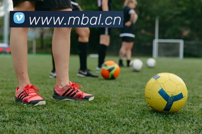 乐竞体育首页官网APP 封面图